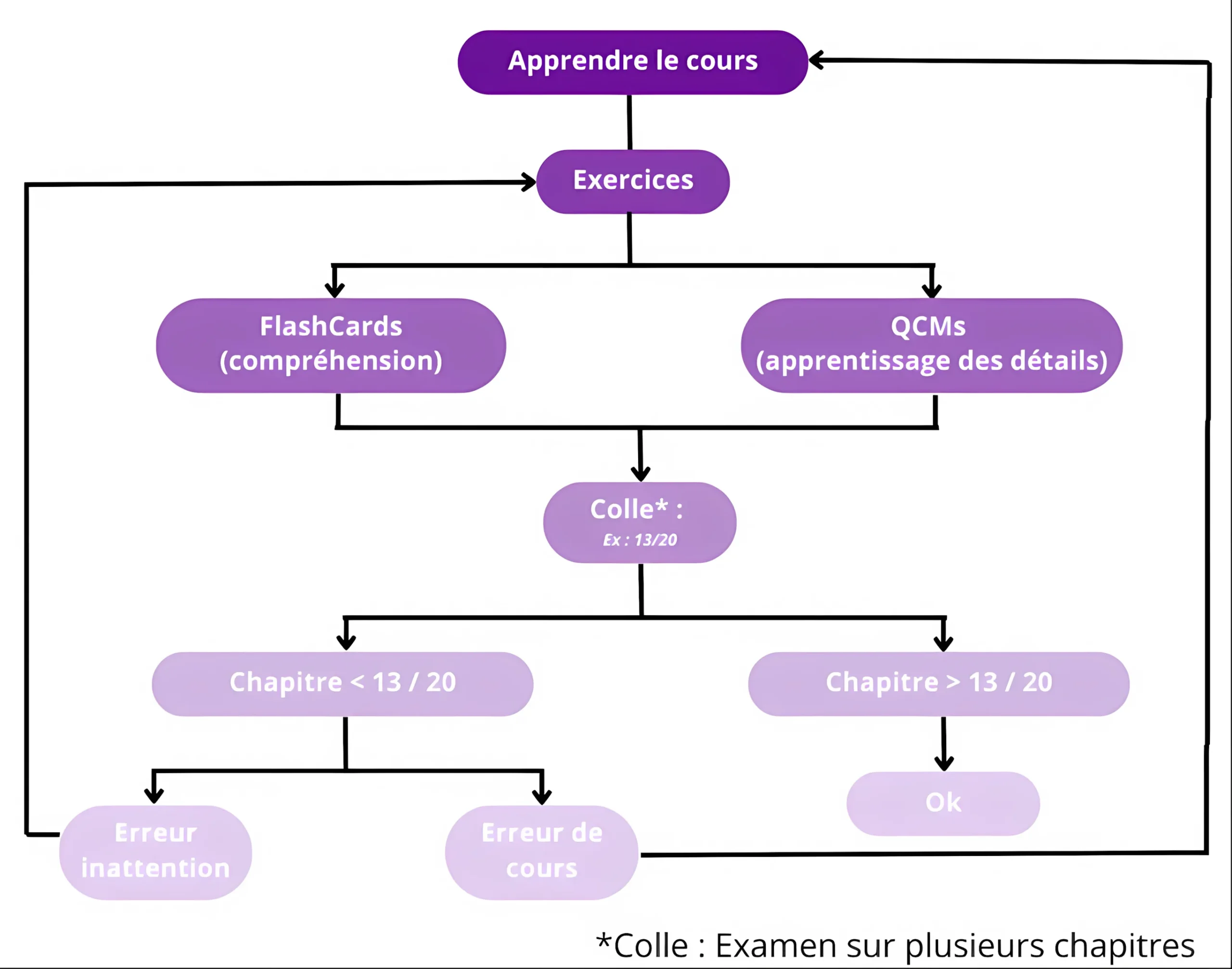 Schéma méthode de travail efficace en PASS médecine : cycle apprendre, exercices (FlashCards + QCMs), colles et correction ciblée selon résultat