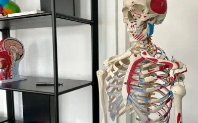 Alimentation, sommeil, sport : l&rsquo;hygiène de vie en PASS