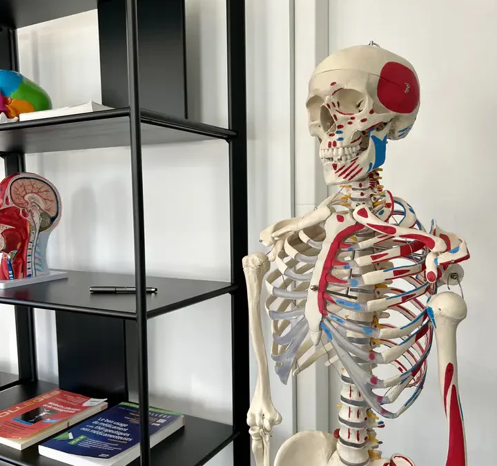 Alimentation, sommeil, sport : l&rsquo;hygiène de vie en PASS