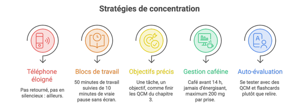 Stratégies de concentration à appliquer en première année de médecine